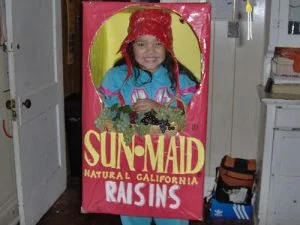 box of raisins cardboard box costume 