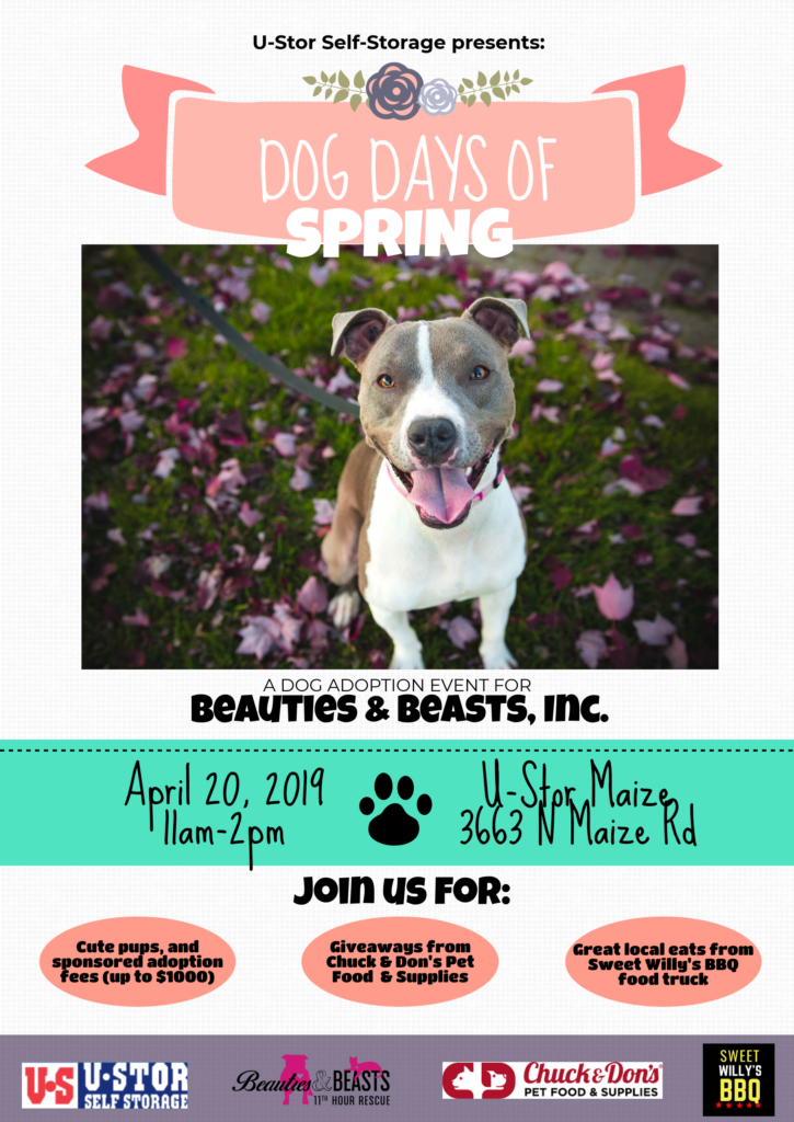 dog adoption event
