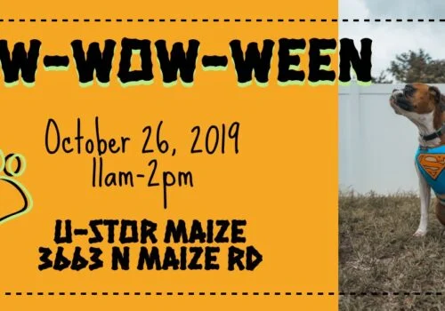 beauties & beasts bow-wow-ween dog adoption event