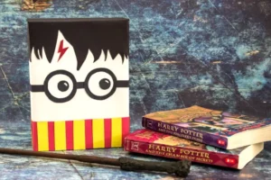Harry Potter Valentine's Day Boxes